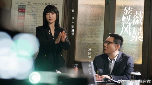 《薔薇風暴》是近年衝出高口碑的雙女主商戰劇，講述2015年互聯網經濟騰飛，財經雜誌主編謝琳慧發布了某投資機構合夥人的醜聞。報導引發投行的洗牌，直接導致投資經理江一笛身陷職場危機。市場風雲變幻，顧不上人情冷暖，謝琳慧與江一笛捲入更大的風暴之中。