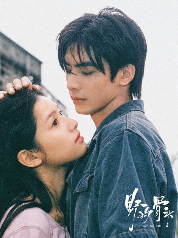 《野狗骨頭》是2026暑期檔值得一追的甜寵愛情劇，該劇找來《何以笙簫默》、《王子變青蛙》的導演執導，導演很會拍，有拍出曖昧的拉扯感。但或許是因為少了一些狗血、高潮迭起的戲份，《野狗骨頭》網播表現沒有特別突出，但口碑是不錯的。