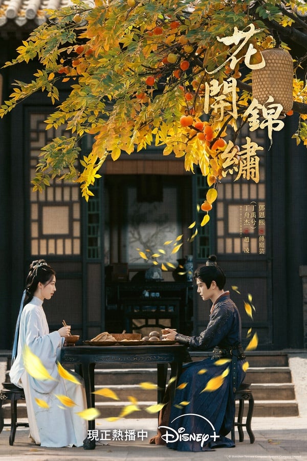 《花開錦繡》找來丁禹兮和鄧恩熙二搭，兩人先前在《長樂曲》就很有CP感，這次在《花開錦繡》依然火花爆棚。而《花開錦繡》也很難得，這部劇有拍出古韻，從造型、佈景都古色古香，一點也不懸浮！開篇是家宅故事，追起來會有點《知否》的感覺，滿滿古韻。宅鬥也很帶感，主配角各懷鬼胎，還有爽感的打臉情節，讓人一追就深陷！