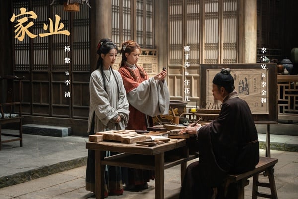 《家業》找來收視女王楊紫主演，這算是楊紫近年網播量比較低的古裝劇，不過今年很多古裝劇收視爆冷、口碑崩盤，《家業》已經算播得不錯了。《家業》是以制墨為背景的大女主經商劇，人物群像立體，每個角色都有自己的高光，也有爽感的劇情，值得一看！