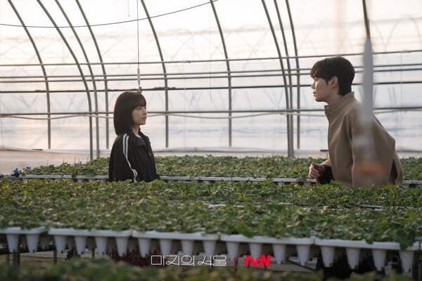 《毛骨悚然的戀愛》沒爛尾但評價兩極！8部Netflix「從頭好看到尾」的韓劇！這部一生推