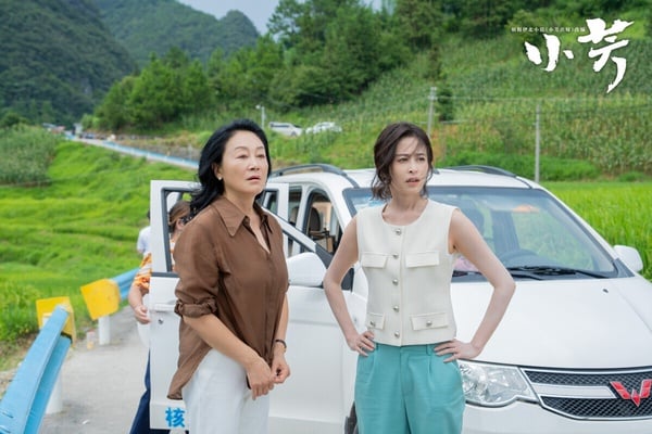 《小芳》找來《獻魚》王影璐和《雁回時》辛雲來主演，氛圍輕快，劇情也觸及滿多現實議題，像是女生的生育權、婚喪嫁娶、去大城市還是回老家等。不過《小芳》評價滿兩極，有人覺得劇情懸浮而且尷尬，也有人認為劇情美化了未婚先孕的現實困境。