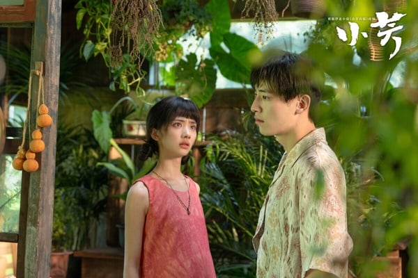 《小芳》找來《獻魚》王影璐和《雁回時》辛雲來主演，氛圍輕快，劇情也觸及滿多現實議題，像是女生的生育權、婚喪嫁娶、去大城市還是回老家等。不過《小芳》評價滿兩極，有人覺得劇情懸浮而且尷尬，也有人認為劇情美化了未婚先孕的現實困境。