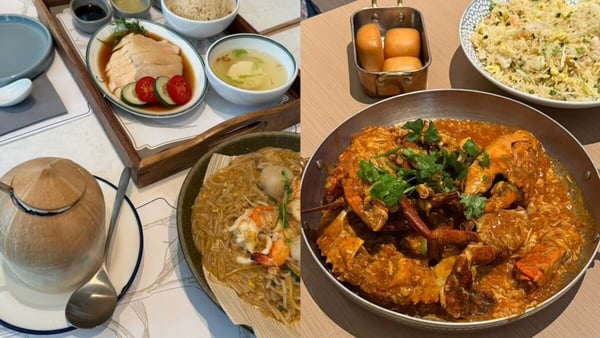 【新加坡最新打卡攻略】美照秘境＋神級美食：樹洞晨曦、POP BAKERY、AI一鍵排行程搞定