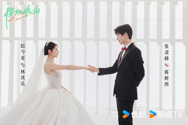 網評10部劇荒值得追Netflix「二流陸劇」！張凌赫《櫻桃琥珀》可以看，第4部是隱藏神劇