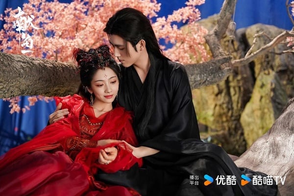 網評10部劇荒值得追Netflix「二流陸劇」！張凌赫《櫻桃琥珀》可以看，第4部是隱藏神劇
