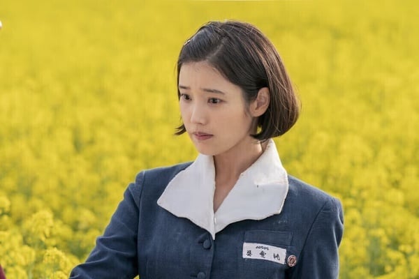 網推10部「一天就追完」超好看韓劇！《鼠惑》、《鐵拳教育》會上癮，這部一集入坑！