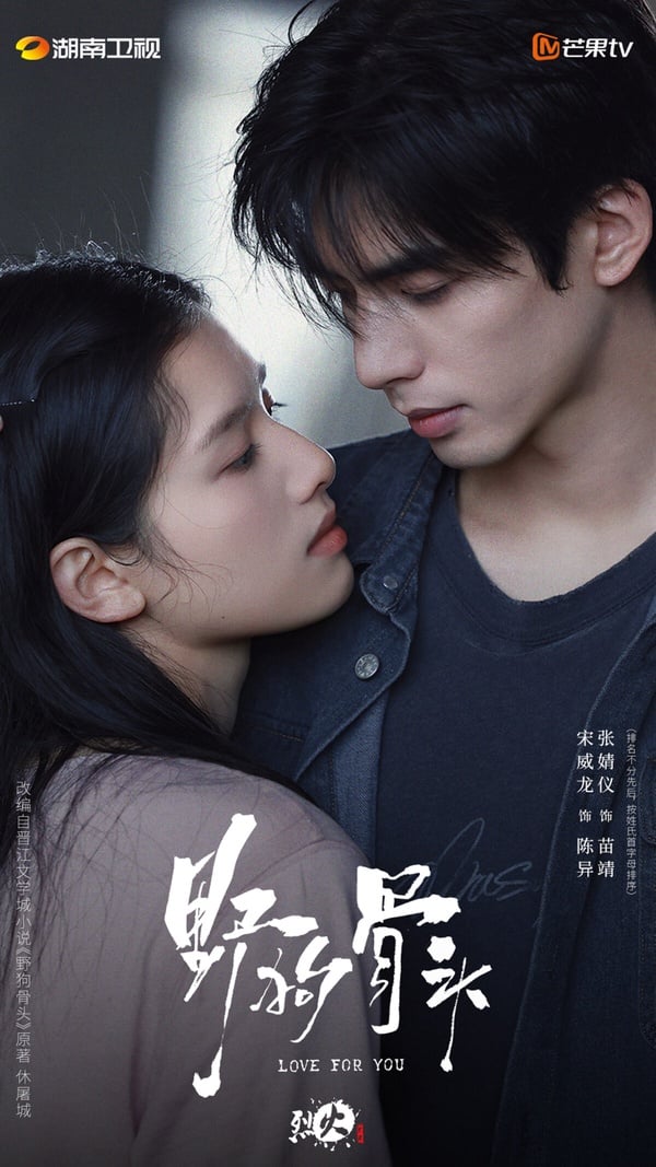 《野狗骨頭》是2026年的高評價甜寵劇，一樣出自劉俊傑導演之手。《野狗骨頭》主打偽骨科兄妹虐戀，有拍出曖昧的拉扯感，劇情也不會無腦撒糖、懸浮尷尬。網友都稱讚導演有拍出宋威龍的帥，讓人一追就深陷。