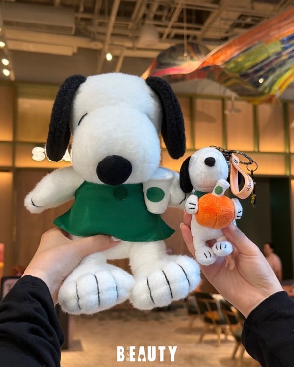 星巴克Ｘ史努比聯名登場！PEANUTS玻璃冷水杯、南瓜吊飾不鏽鋼杯、綠圍裙娃等9款一次看