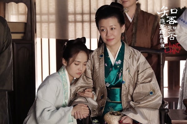 當然也不能不提趙麗穎主演的《知否知否應是綠肥紅瘦》啦！這是近年大家很愛反覆重刷的經典劇，拍得很古色古香！演員舉止儀態都滿像古人，佈景也很精緻，劇情更是越追越上癮。《知否》沒有大起大落的狗血劇情，卻讓人看得揪心又過癮，是宅鬥劇的經典！