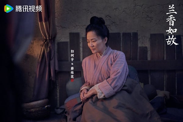 《蘭香如故》角色名字全是花草隱喻！許蘭香高潔、杜翠雀「美麗卻帶毒」，名字超有巧思