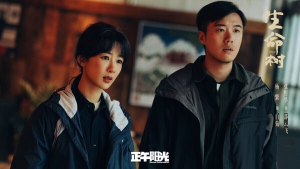 《生命樹》是今年的神劇，找來楊紫、胡歌搭檔，而且是《瑯琊榜》其中一位導演及正午陽光出品，從製作就是奔著精品劇打造的，成品也沒讓人失望，拍攝畫面磅礡大氣，角色群像立體。《生命樹》已經是楊紫第9部抖音破百億的陸劇了，超強！