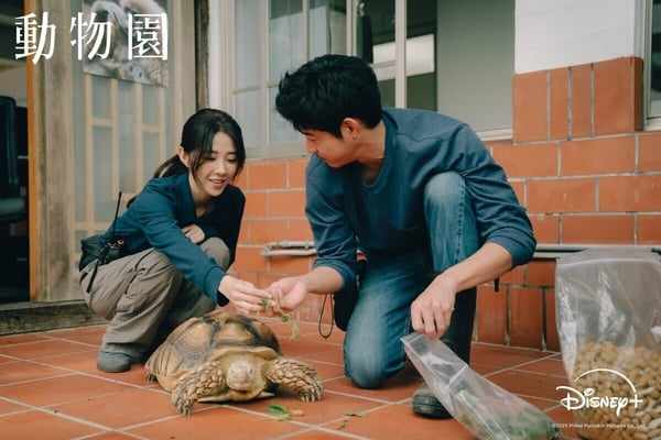 不只《黑白清道夫》好看！2026好評不斷台劇！《乩身》《動物園》必看，這部是隱藏好劇