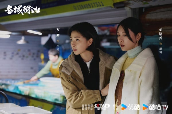 《冬城獵凶》是一部懸疑劇，該劇雙線並行，以1999年銀行劫案與2012年兒童拐賣案兩條時間線，講述跨越13年的追凶故事。《冬城獵凶》有拍出年代氛圍感，而前期被認為節奏比較緩慢，如果能耐心看下去，等到伏筆一個接一個展開，後期有漸入佳境。