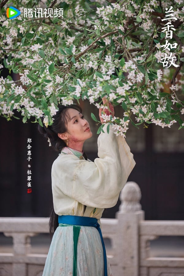 《蘭香如故》原著小說9大惡女結局！趙星棠被凌辱凍死，林繡芄陳屍河裡，杜翠雀也慘死