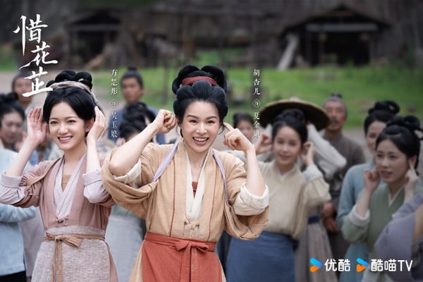 《惜花芷》改編自自空留的同名小說，這部劇不算是典型宅鬥劇，劇中的女角色們團結一心，互相幫助，沒有太多「鬥」的情節，但是依然有一些宅內權謀、反派暗算、旁支爭產的鬥爭情節。《惜花芷》是近年讓人驚喜的黑馬劇，本來是被唱衰的，沒想到出乎意料好看！