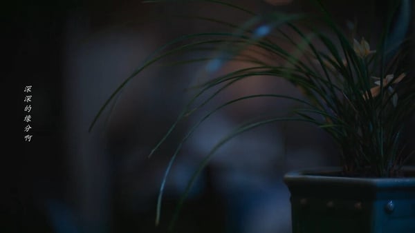 《蘭香如故》大結局超虐！林錦岐求月老紅線，與蘭香約定下一世，網評「不敢看第二遍」