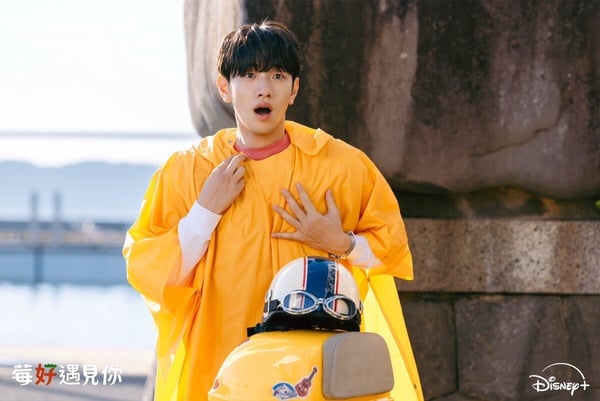 Disney+《莓好遇見你》劇情、角色、評價：池昌旭&amp;amp;amp;amp;amp;今田美櫻共譜跨國戀曲，CP感爆棚！