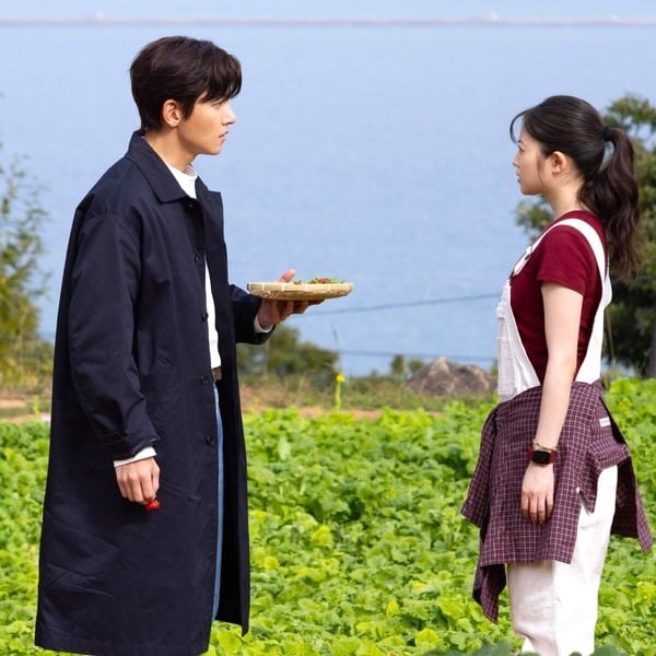 Disney+《莓好遇見你》劇情、角色、評價：池昌旭&amp;amp;amp;amp;amp;amp;amp;今田美櫻共譜跨國戀曲，CP感爆棚！