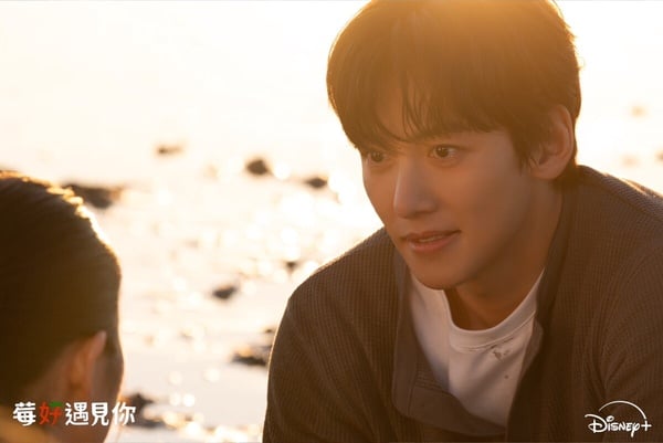 Disney+《莓好遇見你》劇情、角色、評價：池昌旭&amp;amp;amp;amp;amp;amp;amp;今田美櫻共譜跨國戀曲，CP感爆棚！