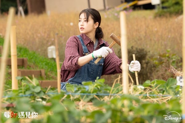 Disney+《莓好遇見你》劇情、角色、評價：池昌旭&amp;amp;amp;amp;amp;今田美櫻共譜跨國戀曲，CP感爆棚！