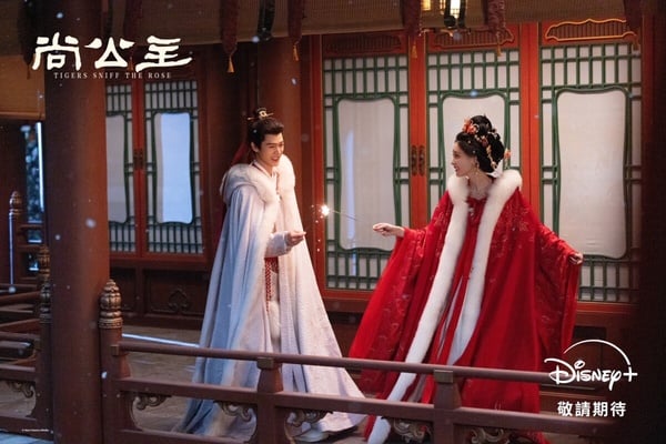 《尚公主》7大兩極評價：孟子義、李昀銳三搭CP感爆棚，愛情線卻喧賓奪主、主線薄弱？
