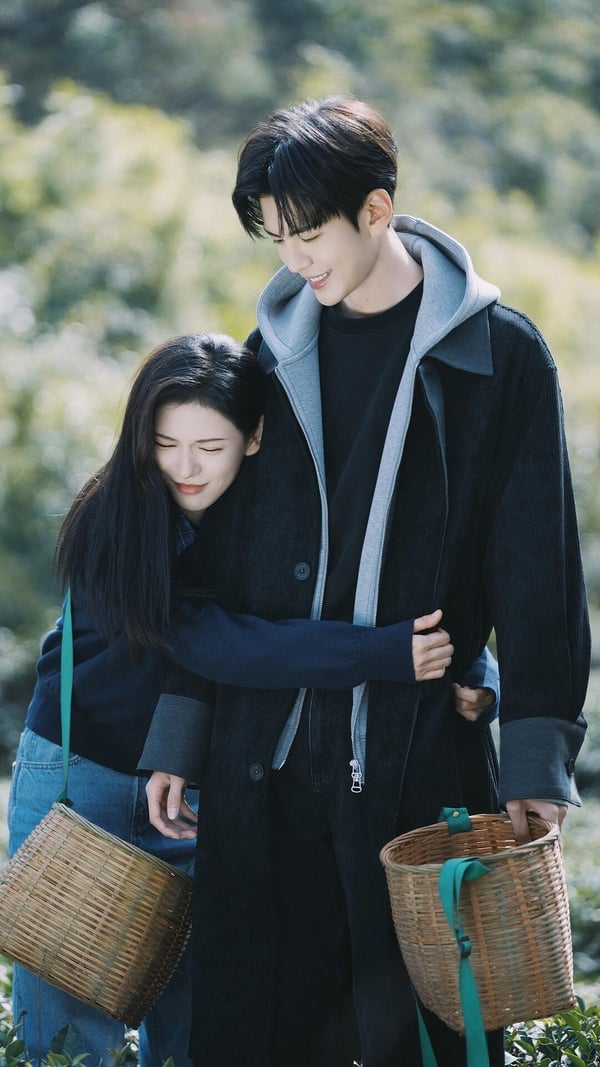 10部Netflix「被淹沒在片單海」冷門好劇！《新手上路》爆好評，這部療癒神劇錯過可惜