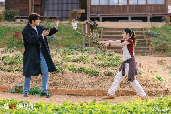 感情中最容易秒上頭、又秒冷掉的星座TOP5！前一秒愛得死心塌地，下一秒直接變陌生人