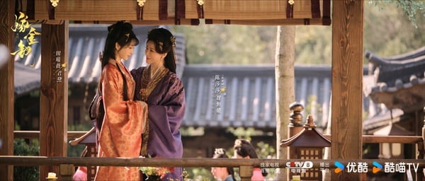 田曦薇主演的《嫁金釵》是宅鬥劇，劇情完全不拖沓，一集就讓人進入狀況。《嫁金釵》是底層少女代替瘋批惡女代嫁的逆襲故事，節奏飛快，第一集火速立住千金「魏嬈」的惡女人設，接著各種陷害、宅鬥的賞巴掌手段。雖然許多網友認為《嫁金釵》劇情不能深思，但爽度是足的，看一集就入坑。