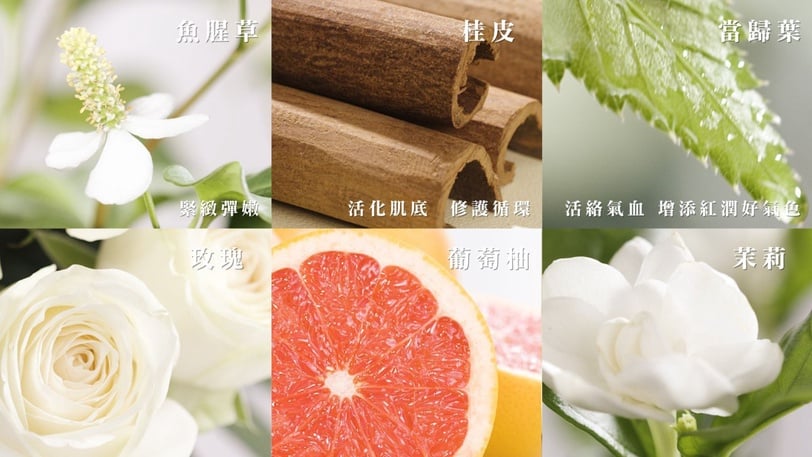 深扒資深美妝總編青春秘笈！全靠寶藏品牌碧麗妃，日本OL無限回購，緊緻減齡超有感！