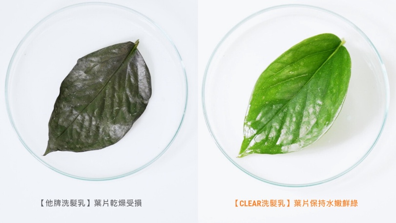 頭皮沒養好,洗頭也是白搭!實測CLEAR新升級去屑洗髮 10X護膚級成分添加,28天終結頭皮屑