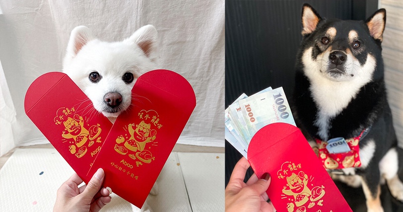 龍年限定！一週賣破300盒！Abao首創毛孩佛跳牆鮮食，搶先公開寵物新春禮隱藏玩法