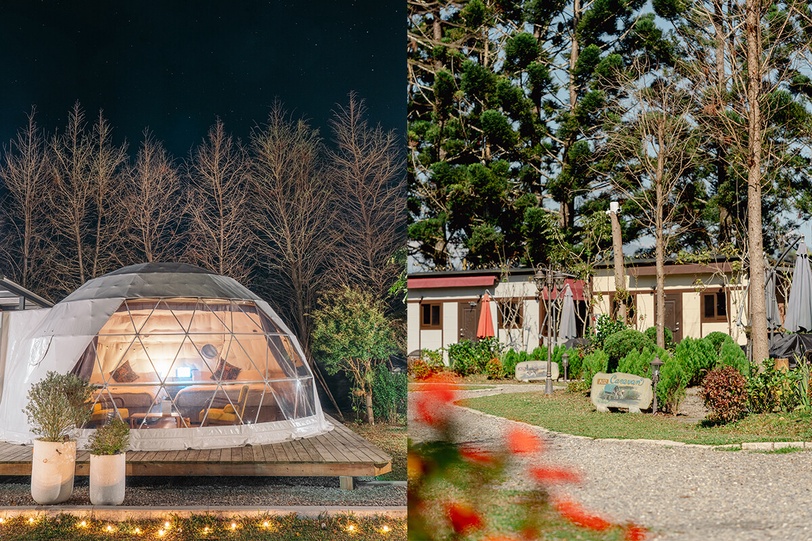 最夢幻豪華露營!唐寧茶初春森味野宴之旅,走訪峇嵐杉丘透明星空帳,一覽無邊際森林