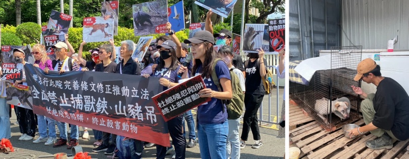 OB嚴選攜手戴佩妮聯名插畫公益商品拯救受虐動物