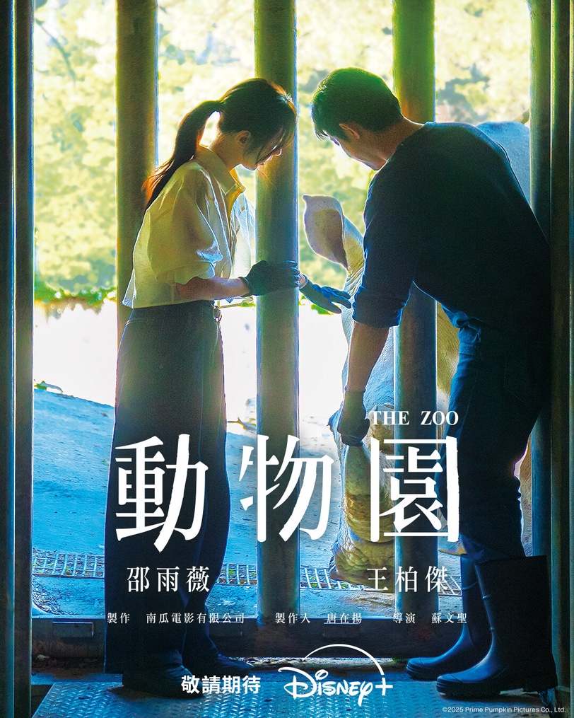 網友狂推Disney+「不看會後悔」片單！高分好評日韓台陸夯劇任你選，隨時開啟追劇模式