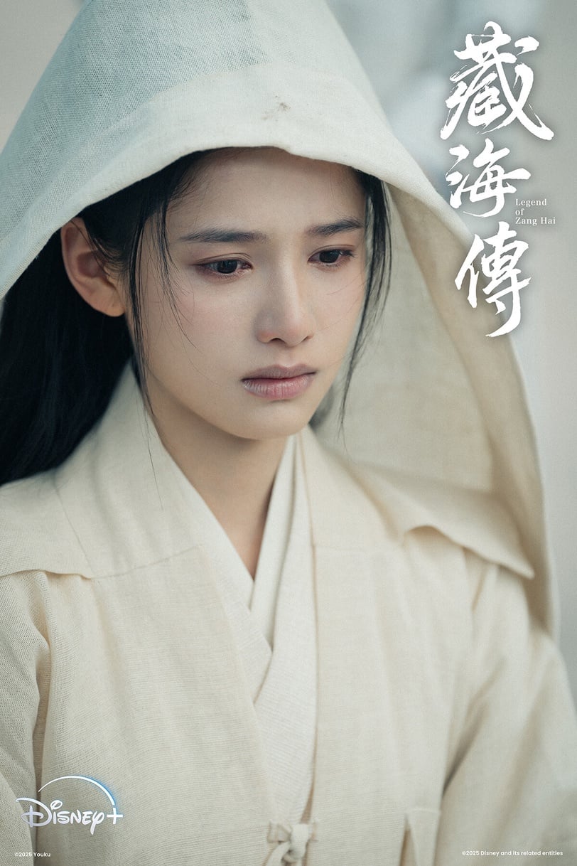 陸劇推薦古裝片單：藏海傳