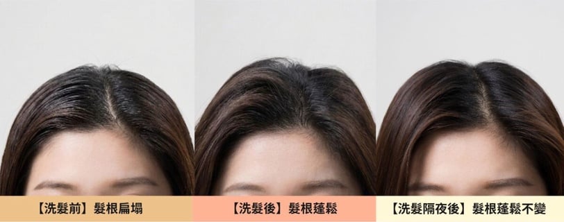 髮根燙般的蓬鬆感！森歐黎漾洗髮精：澄光蠟菊功效、編輯真實使用評價
