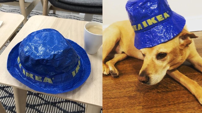 IKEA「漁夫帽」官網上架!IKEA經典購物袋材質,「Knorva尼龍防水漁夫帽」限量上市~
