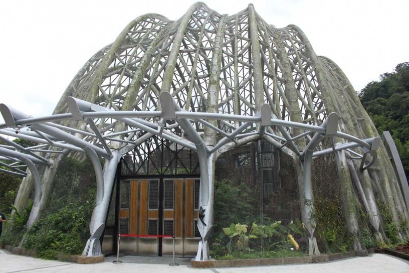 木柵動物園也有「樹獺」和「水豚君」了!等了13年,熱帶雨林館終於開幕啦!