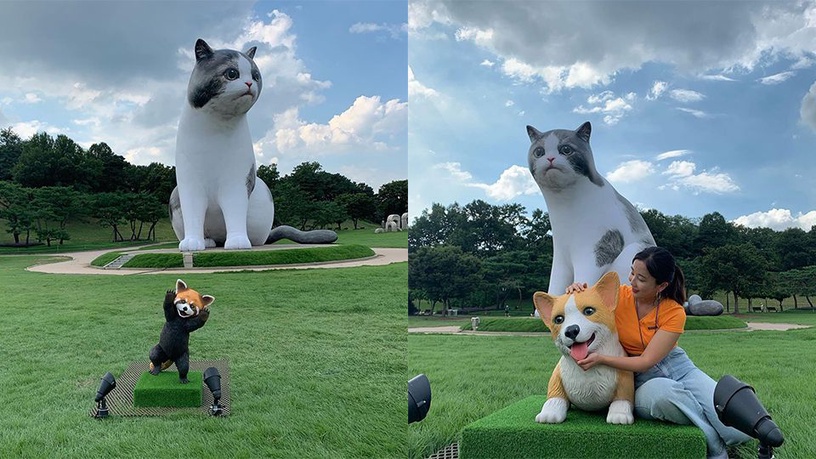 巨型喵星人出沒!韓國奧林匹克公園「AR動物園」,10公尺超巨大貓咪成為最新打卡熱點!