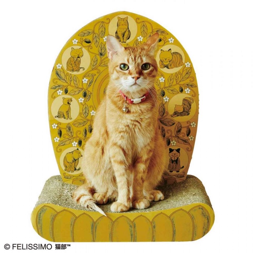 日本雜貨品牌YOU+MORE!推出超獵奇「佛系貓咪打坐椅」！超獵奇的設計，不知道貓咪坐上去是不是也能修身養性，成為一隻乖巧的主子？