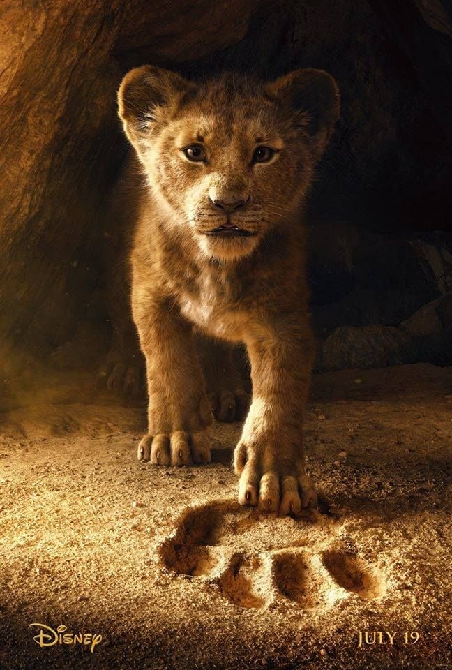 真人版《獅子王》2019年7月即將上映，最近釋出的1分半預告中完全把動版版的片段經典重現啊！