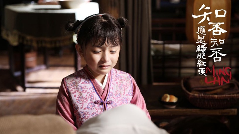 《知否知否》小明蘭上熱搜!趙麗穎幼年童星爆紅,358萬粉絲還演過羋月傳