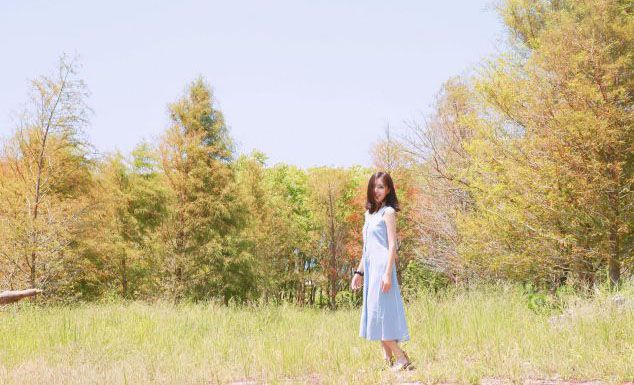 │ Amigo專欄 │在宜蘭發現美美的落羽松秘境