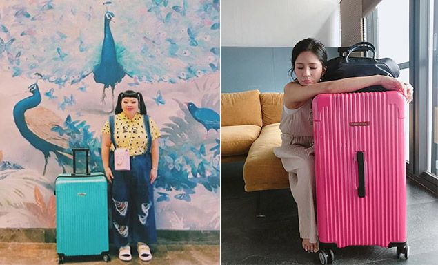 渡邊直美、吳怡霈大愛「空姐行李箱」!搶手原因大公開!