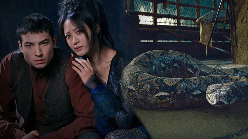 《怪獸與葛林戴華德的罪行》終極預告華麗釋出,隱藏彩蛋拆解!