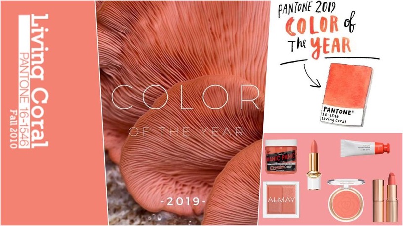 PANTONE 2019年度代表色Living Coral,10大彩妝單品一定要入手