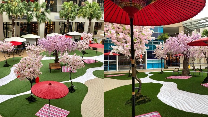 林口三井OUTLET不必飛日本!5/12前打造「日式賞櫻觀景」,四米不凋櫻花園林