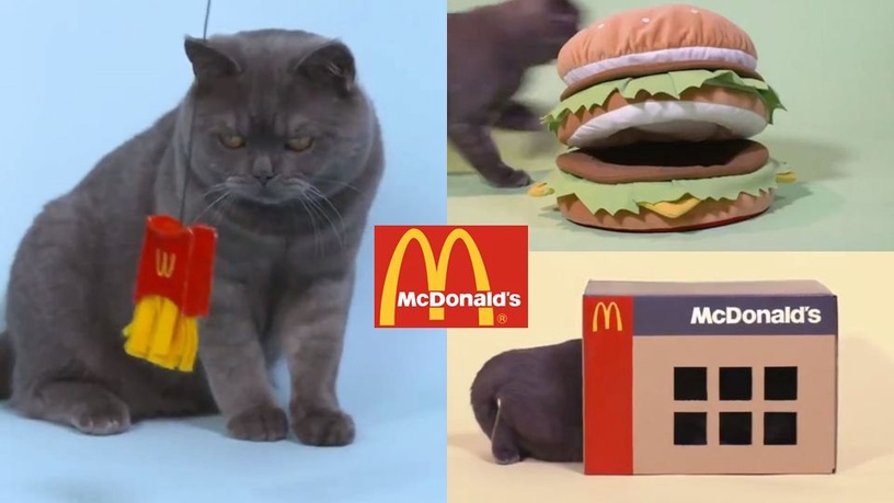 貓奴必收！日本麥當勞推出大薯逗貓棒、貓抓板、漢堡貓窩！