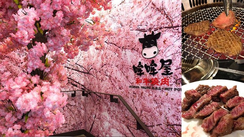 最新網美打卡熱店「哞哞屋和牛燒肉」即日起試營運!豐盛和牛套餐還有超美櫻花林這裡都有~